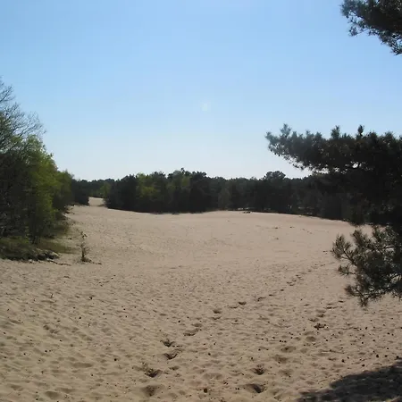Forest In Herperduin With Bubble Bath Dom wakacyjny