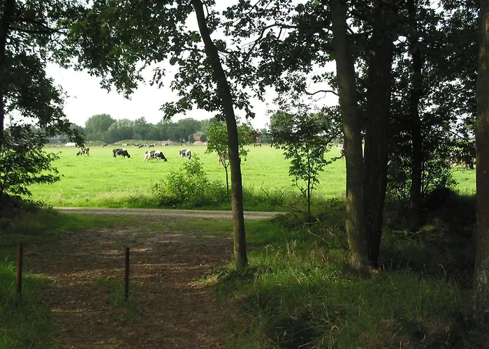Hébergement de vacances Forest In Herperduin With Bubble Bath *