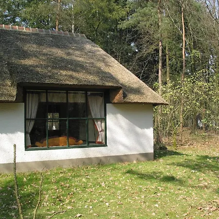 Forest In Herperduin With Bubble Bath Vakantiehuis Herpen