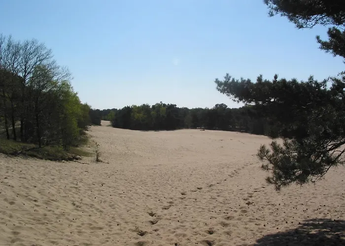 Forest In Herperduin With Bubble Bath Nyaraló